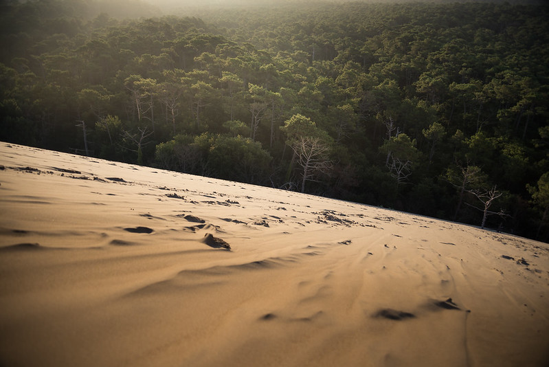 La dune du Pilat